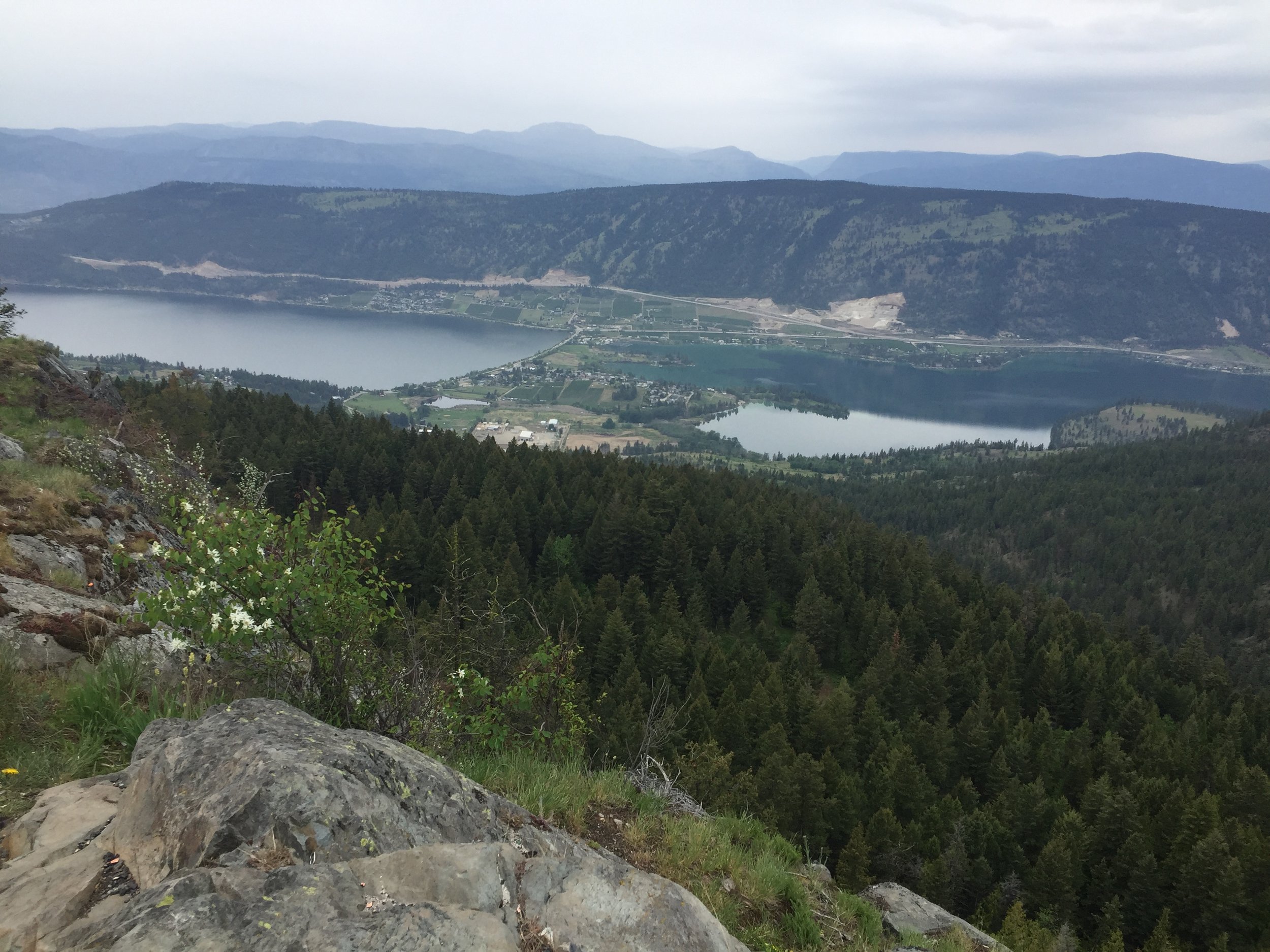 🌄 오야마 곶(오야마미사키) 이미지 6